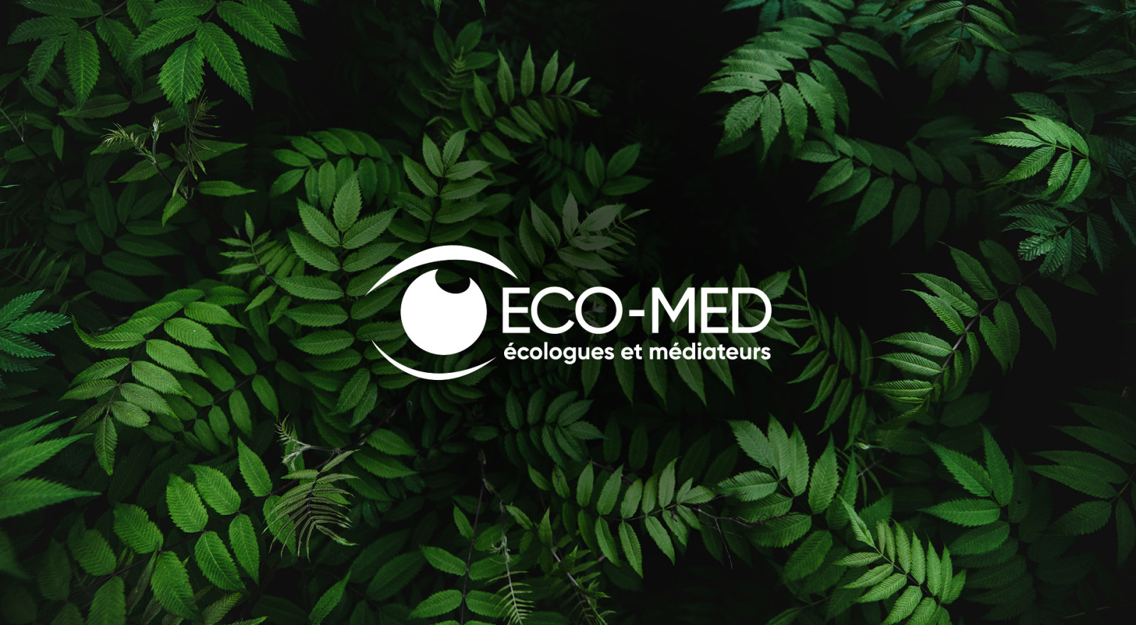 ecomed_header